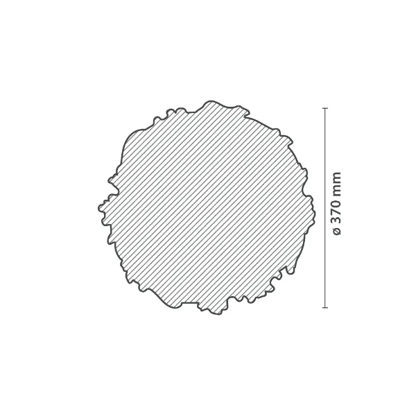 Rosetón MIRA :: ø37cm - Imagen 4